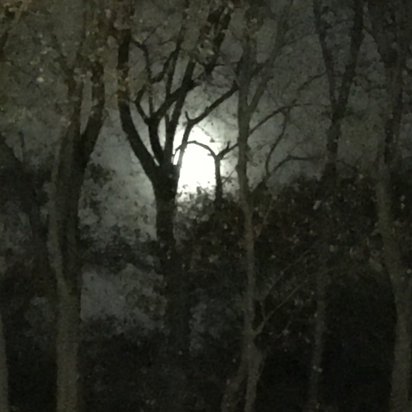 Meet your Posher, Deb - Picture 1 of 1